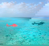 Port Douglas Scenic Flights - Tourism Caloundra