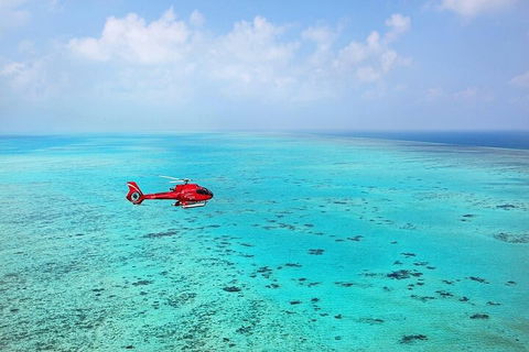 Ultimate Great Barrier Reef And Rainforest 45-minute Helicopter Tour - Tourism Caloundra 2