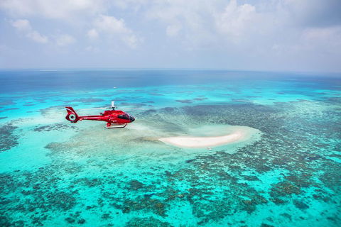 Ultimate Great Barrier Reef And Rainforest 45-minute Helicopter Tour - Tourism Caloundra 3