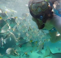 2-Day Moreton Island 4WD Camping Tour from Brisbane - Tourism Caloundra