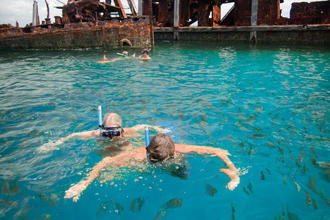Moreton Island Snorkel And Sandboarding 4WD Day Trip From Brisbane - Tourism Caloundra 0