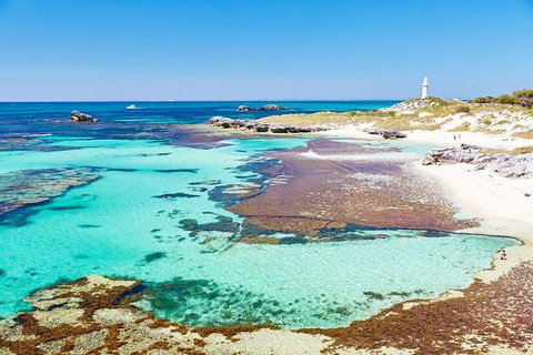 Fremantle To Rottnest Island Roundtrip Ferry Ticket - Tourism Caloundra 2