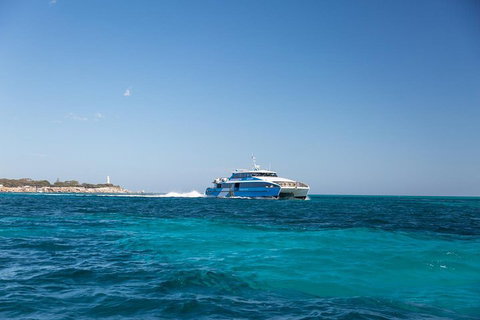 Fremantle To Rottnest Island Roundtrip Ferry Ticket - Tourism Caloundra 5