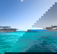 Rottnest Island All-Inclusive Grand Island Tour from Fremantle - Tourism Caloundra