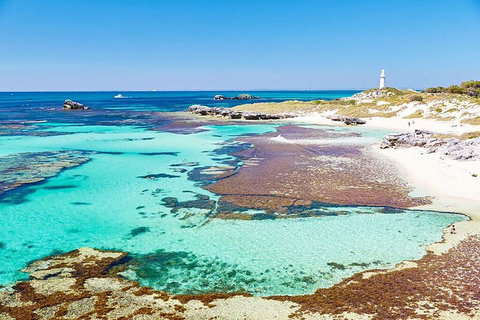 Rottnest Island Bike, Snorkel & Ferry Package From Fremantle - Tourism Caloundra 4