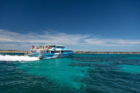 Perth To Rottnest Island Roundtrip Ferry Ticket - Tourism Caloundra 4