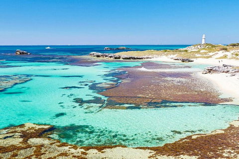 Rottnest Island Bayseeker Day Trip From Perth - Tourism Caloundra 4
