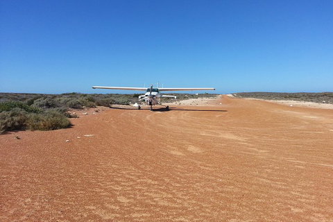 Abrolhos Islands Scenic Flight & Snorkel Adventure From Perth - Tourism Caloundra 3