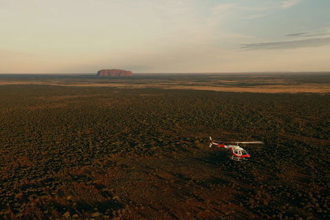 Helicopter Scenic: Lizard Safari - Tourism Caloundra 4