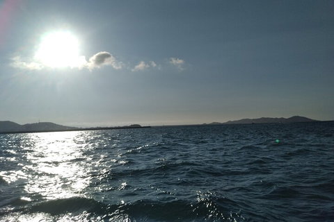 Townsville Small Group Early Morning Sailing Cruise Boat Tour Charter Hire - Tourism Caloundra 4