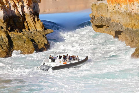 Horizontal Falls Half-Day Tour From Broome - Tourism Caloundra 1