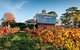 Adelaide Hills Food, Wine, Cheese, & Chocolate - Private Day Tour - thumb 3