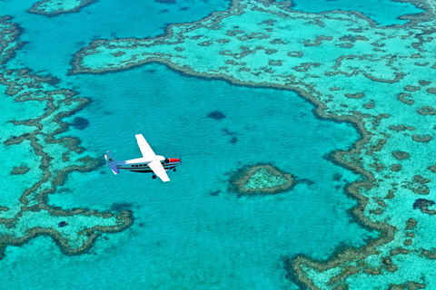 Fly & Sail Package (With Providence) - Tourism Caloundra 4