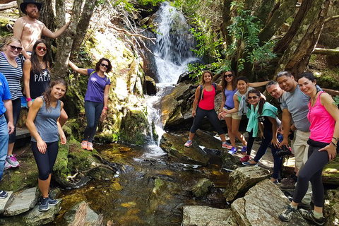 7-Day Super Value Tour Of Tasmania: Explore Tasmania's West And East Coasts - Tourism Caloundra 2