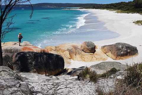 2-Day Tas East Coast Escape Tour Including Bay Of Fires, Wineglass Bay & Devils - Tourism Caloundra 4