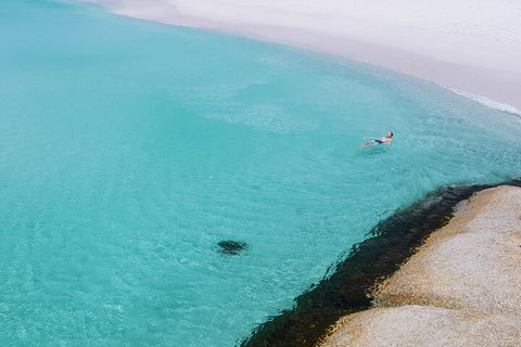 2-Day Tas East Coast Escape Tour Including Bay Of Fires, Wineglass Bay & Devils - Tourism Caloundra 5