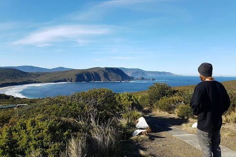4-Day Fabulous Tasmania Tour: Wineglass Bay, Port Arthur, Devils & Bruny Island - Tourism Caloundra 0