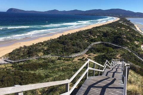 4-Day Fabulous Tasmania Tour: Wineglass Bay, Port Arthur, Devils & Bruny Island - Tourism Caloundra 5