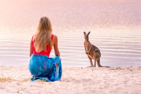 Serenity Cruise To Australia's Everglades - Tourism Caloundra 3