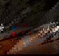 Alice Springs Desert Park Nocturnal Tour - Tourism Caloundra