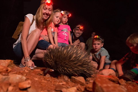 Alice Springs Desert Park Nocturnal Tour - Tourism Caloundra 5