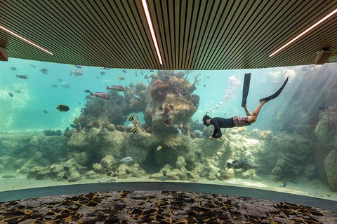 Whitehaven Beach And Daydream Island Cruise - Tourism Caloundra 4