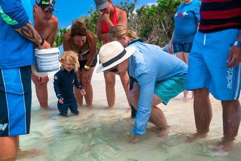 Whitehaven Beach And Hamilton Island Cruise - Tourism Caloundra 1