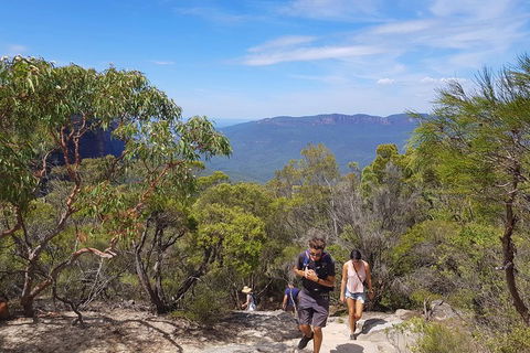 Blue Mountains Unique Small-Group Day Adventure With BBQ Lunch - Tourism Caloundra 3