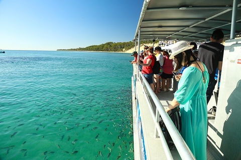 Adventure Moreton Island Wrecks Adventure Package - Tourism Caloundra 1