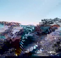 Wave Break Island Scuba Diving on the Gold Coast - Tourism Caloundra