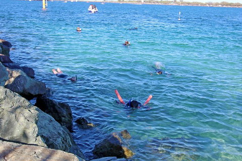 Wave Break Island Scuba Diving On The Gold Coast - Tourism Caloundra 1