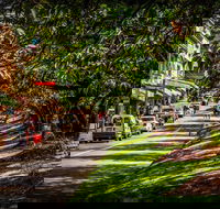 Fully Inclusive Blue Mountains Private Tour inc Scenic World  Featherdale entry - Tourism Caloundra