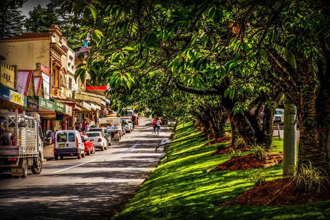 Fully Inclusive Blue Mountains Private Tour Inc Scenic World & Featherdale Entry - Tourism Caloundra 0