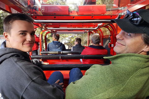 Fully Inclusive Blue Mountains Private Tour Inc Scenic World & Featherdale Entry - Tourism Caloundra 1