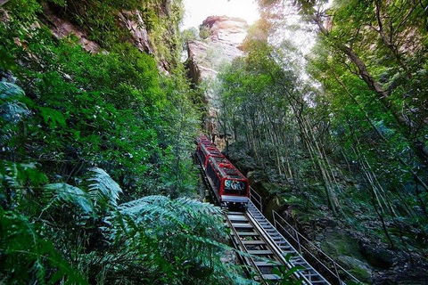 Fully Inclusive Blue Mountains Private Tour Inc Scenic World & Featherdale Entry - Tourism Caloundra 4