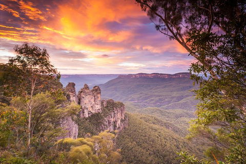 Fully Inclusive Blue Mountains Private Tour Inc Scenic World & Featherdale Entry - Tourism Caloundra 5