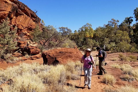 Palm Valley And Hermannsburg 1 Day 4WD Tour - Tourism Caloundra 1