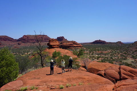 Palm Valley And Hermannsburg 1 Day 4WD Tour - Tourism Caloundra 2