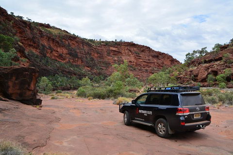 Palm Valley And Hermannsburg 1 Day 4WD Tour - Tourism Caloundra 5