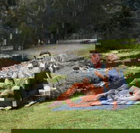 Mt Tamborine - Hinterland Wonders Self Guided - Tourism Caloundra