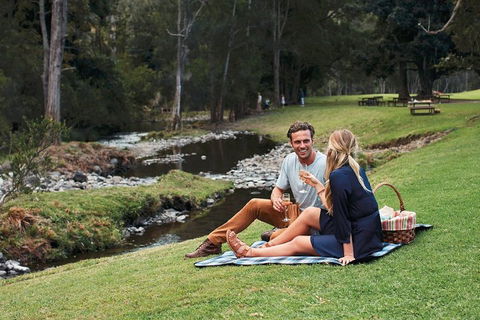 Mt Tamborine - Hinterland Wonders Self Guided - Tourism Caloundra 0