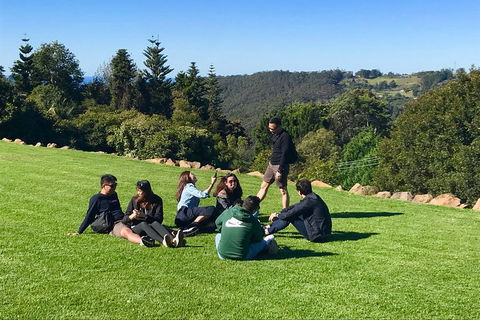 Mt Tamborine - Hinterland Wonders Self Guided - Tourism Caloundra 1