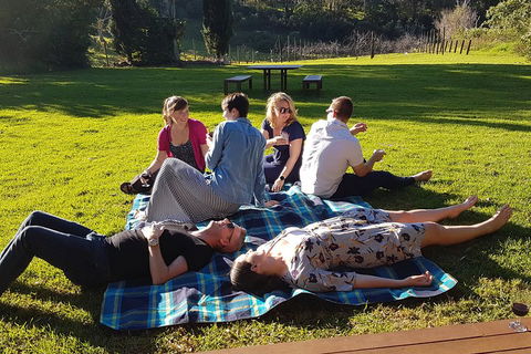 Mt Tamborine - Hinterland Wonders Self Guided - Tourism Caloundra 2