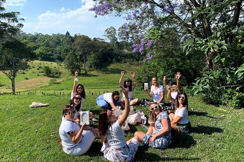 Mt Tamborine - Hinterland Wonders Self Guided - Tourism Caloundra 5