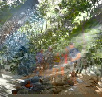 Mossman Gorge Adventure Day - Tourism Caloundra