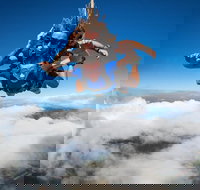 Reef and Rainforest Tandem Sky Dive in Cairns - Tourism Caloundra