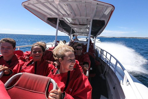 Adventure Rottnest Tour With Ferry & Adventure Cruise From Perth Or Fremantle - Tourism Caloundra 0