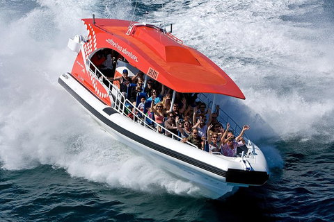 Adventure Rottnest Tour With Ferry & Adventure Cruise From Perth Or Fremantle - Tourism Caloundra 2