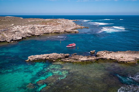 Adventure Rottnest Tour With Ferry & Adventure Cruise From Perth Or Fremantle - Tourism Caloundra 3