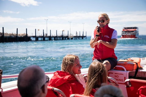 Adventure Rottnest Tour With Ferry & Adventure Cruise From Perth Or Fremantle - Tourism Caloundra 4